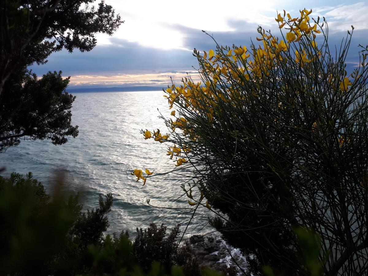 Apartment Dragan I Slavica 洛帕 外观 照片